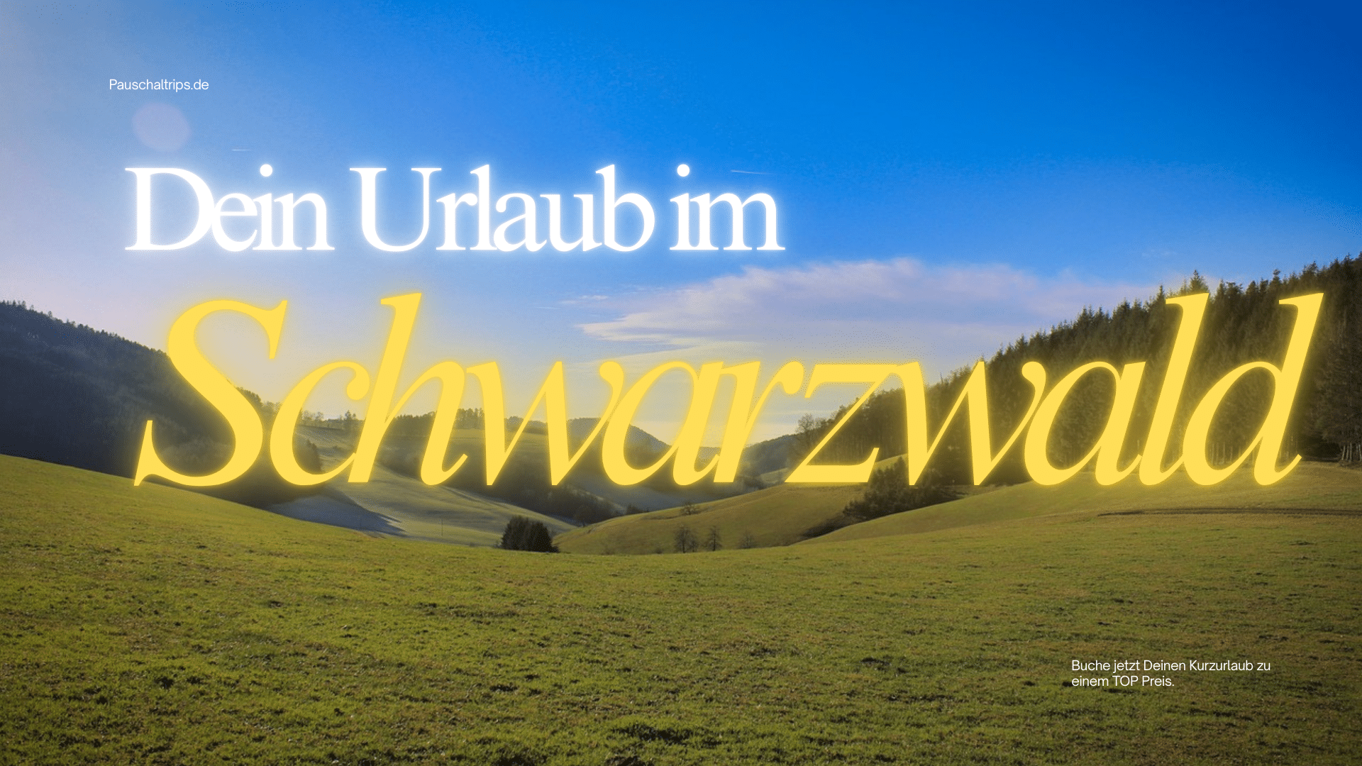Möchtest Du Deinen Sommerurlaub im Schwarzwald verbringen?
