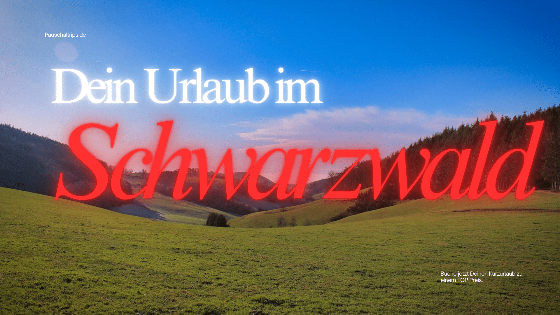 Möchtest Du im September in den Schwarzwald reisen?