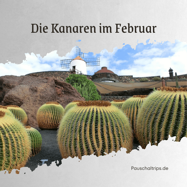 Kanaren_Februar