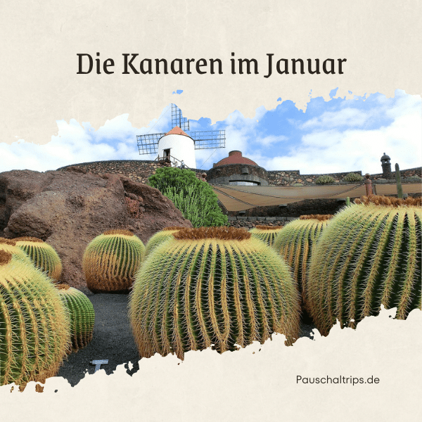 Kanaren_Januar