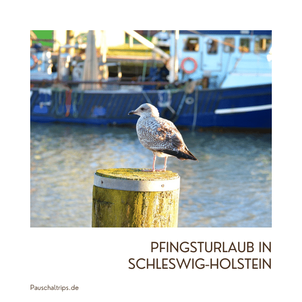 Möchtest Du Deinen Pfingsturlaub in Schleswig-Holstein verbringen?