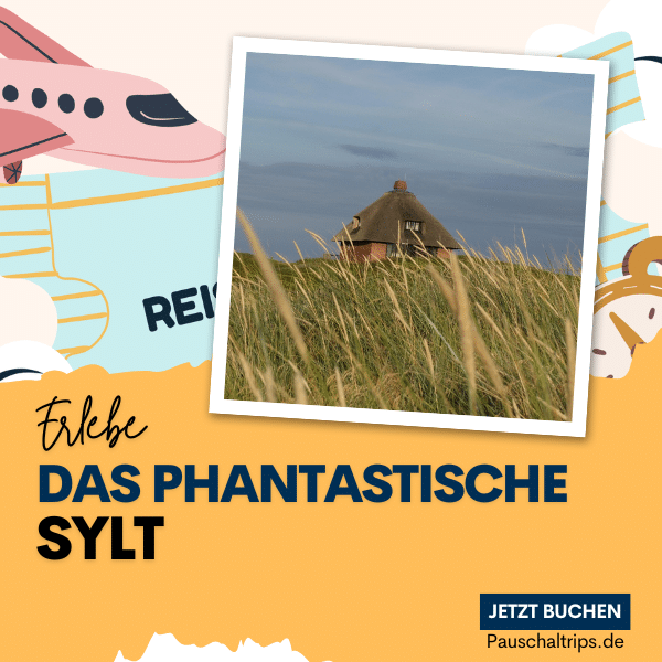 Sylt_090226