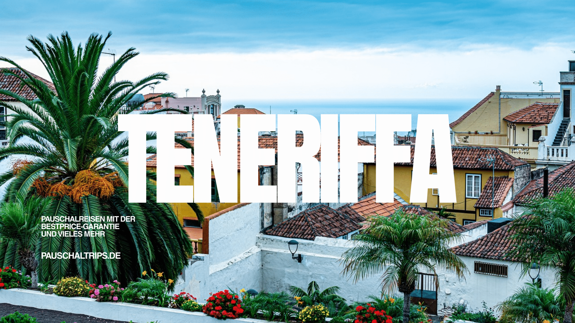 Möchtest Du im August nach Teneriffa fliegen?